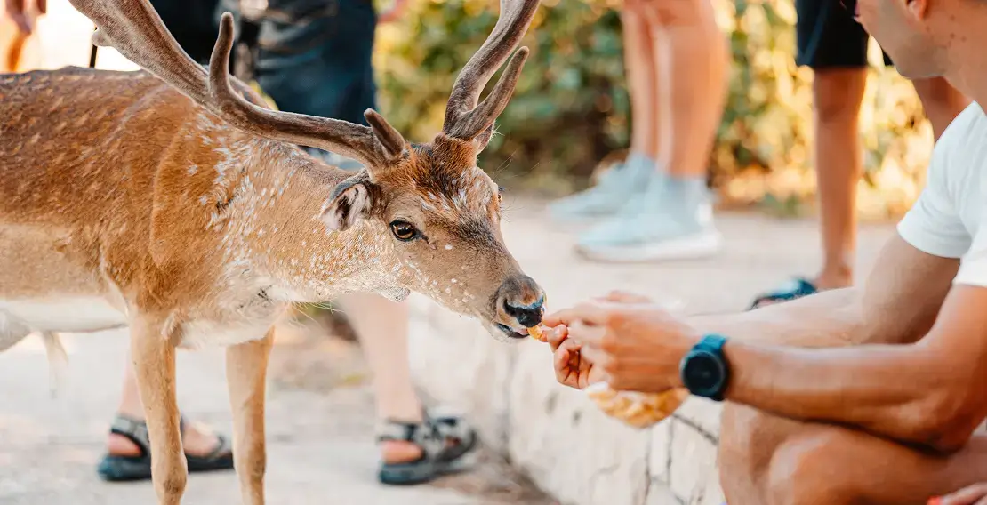 explore national parks